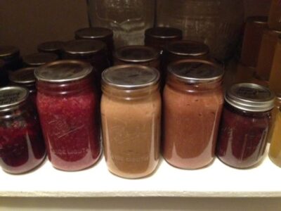 Food Preservation Through Water Bath and Pressure Canning Image